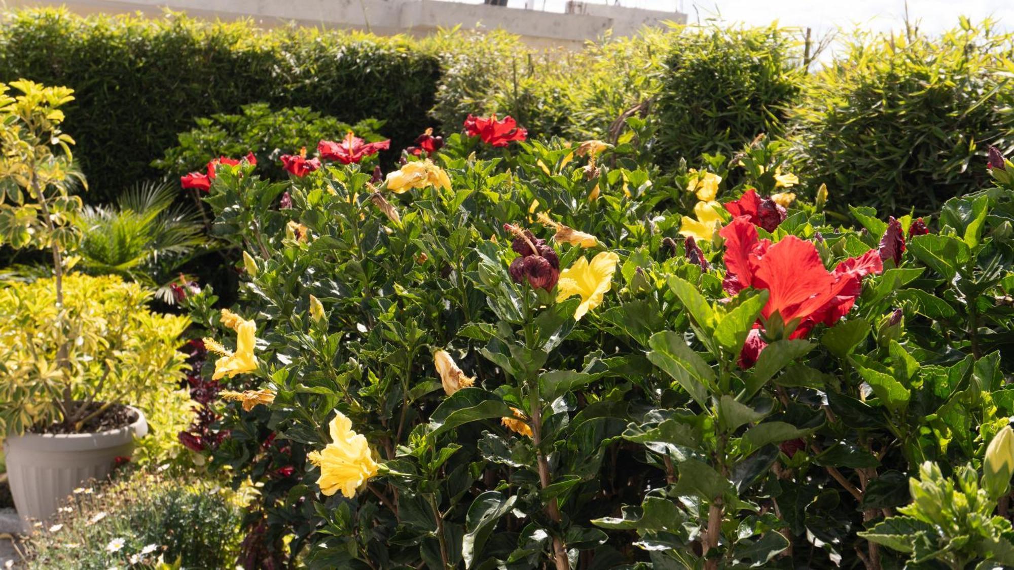 Hospedaje El Girasol Tababela Quito Exteriér fotografie